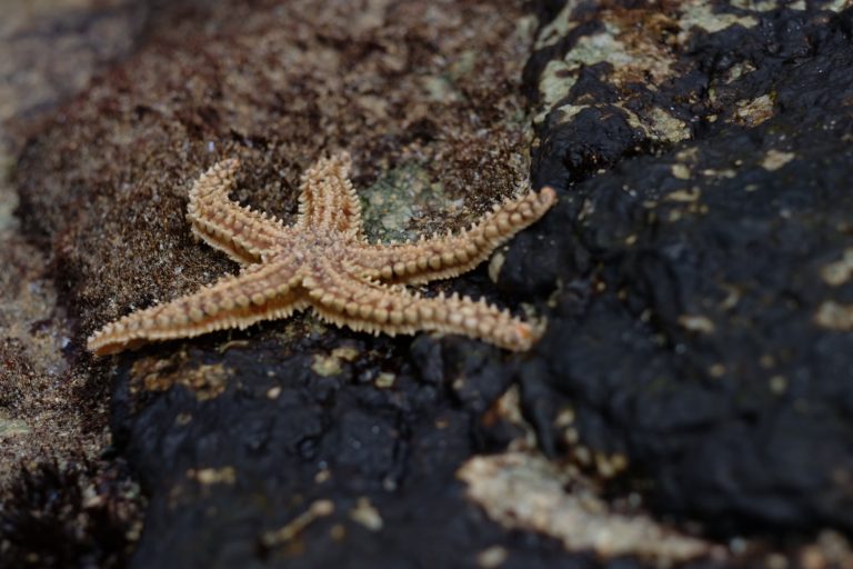 479925032_10161959130534435_7909965655966089234_n